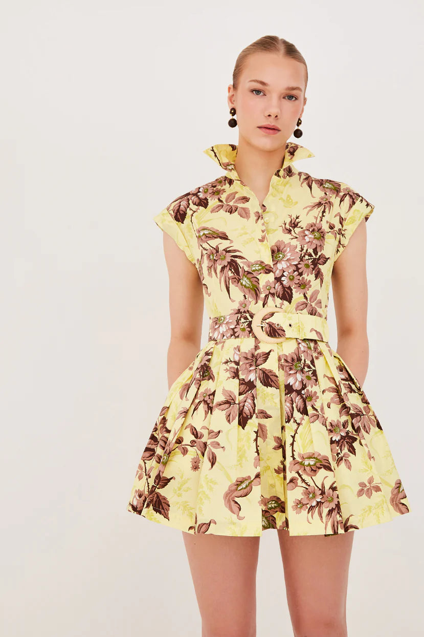 Cara Cara Octavia Mini Dress