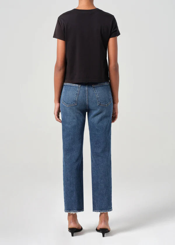 Agolde 90's Pinch Waist Crop Jean