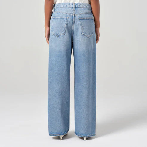 Agolde Low Slung Baggy Jean - Libertine