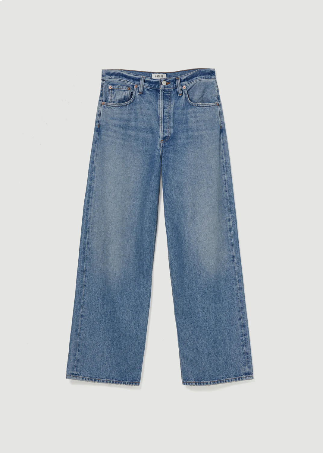 Agolde Low Slung Baggy Jean - Libertine