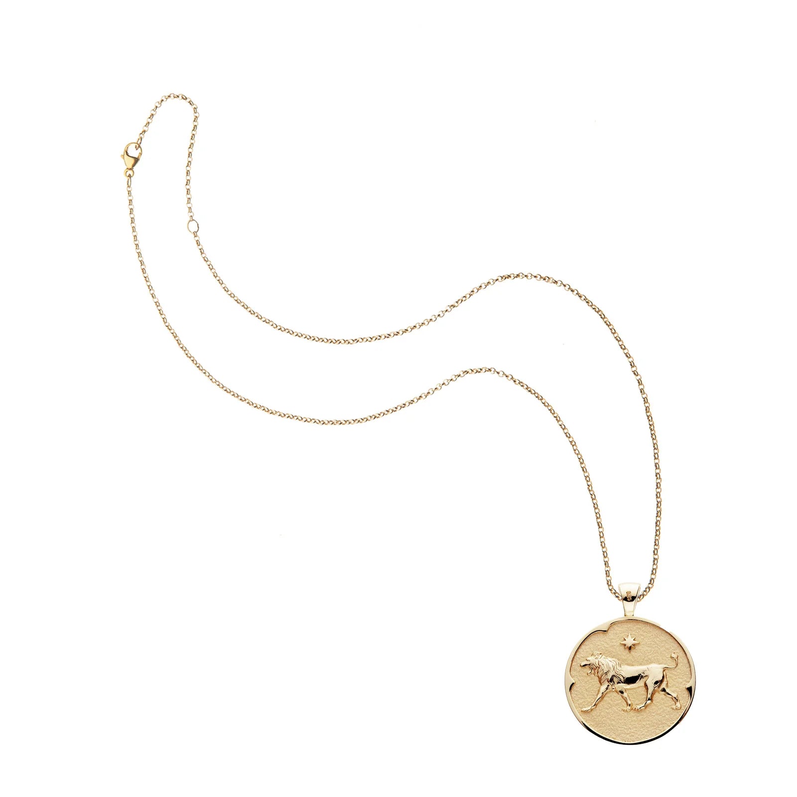 Jane Win Leo JW Zodiac Pendant Coin