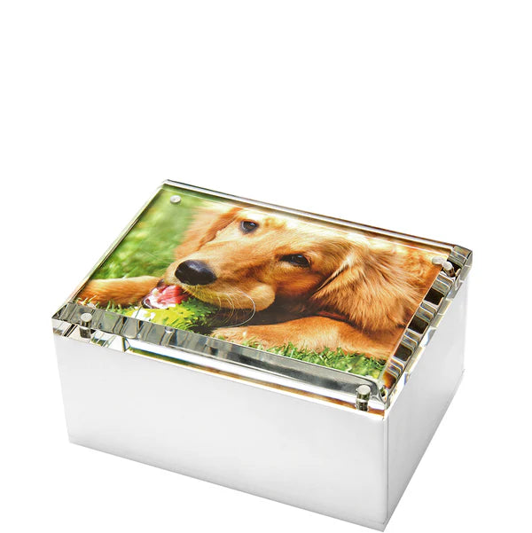 Tara Wilson Designs 5"x7" Photo Box - White