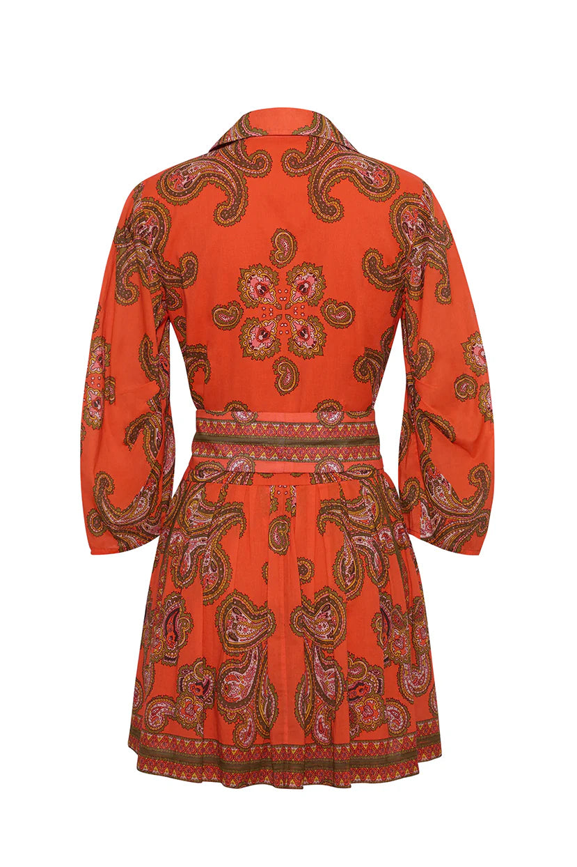 Cara Cara Raya Mini Dress