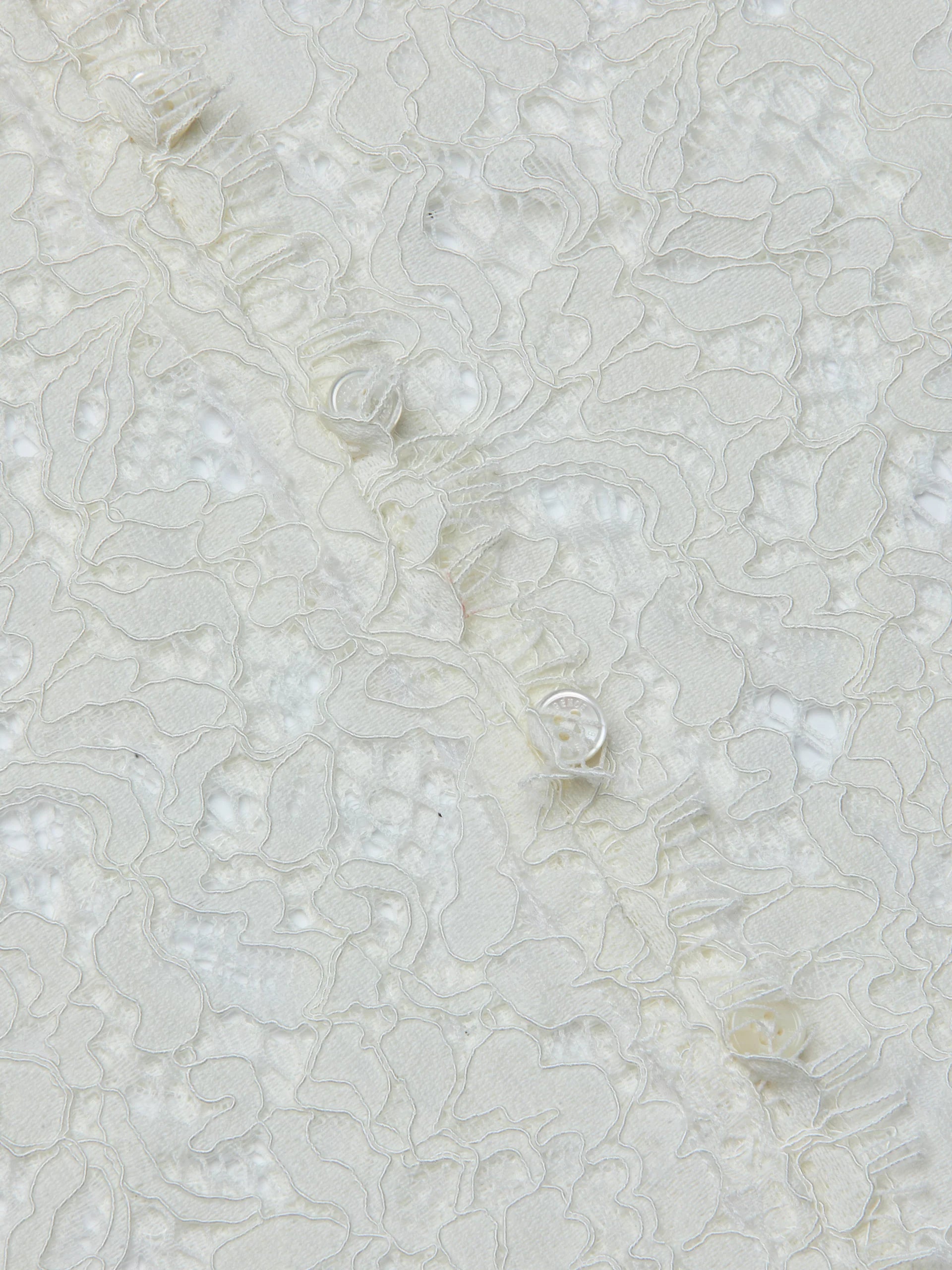 L'Agence Anita Lace Button Up