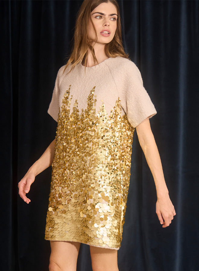 Aerin Dress