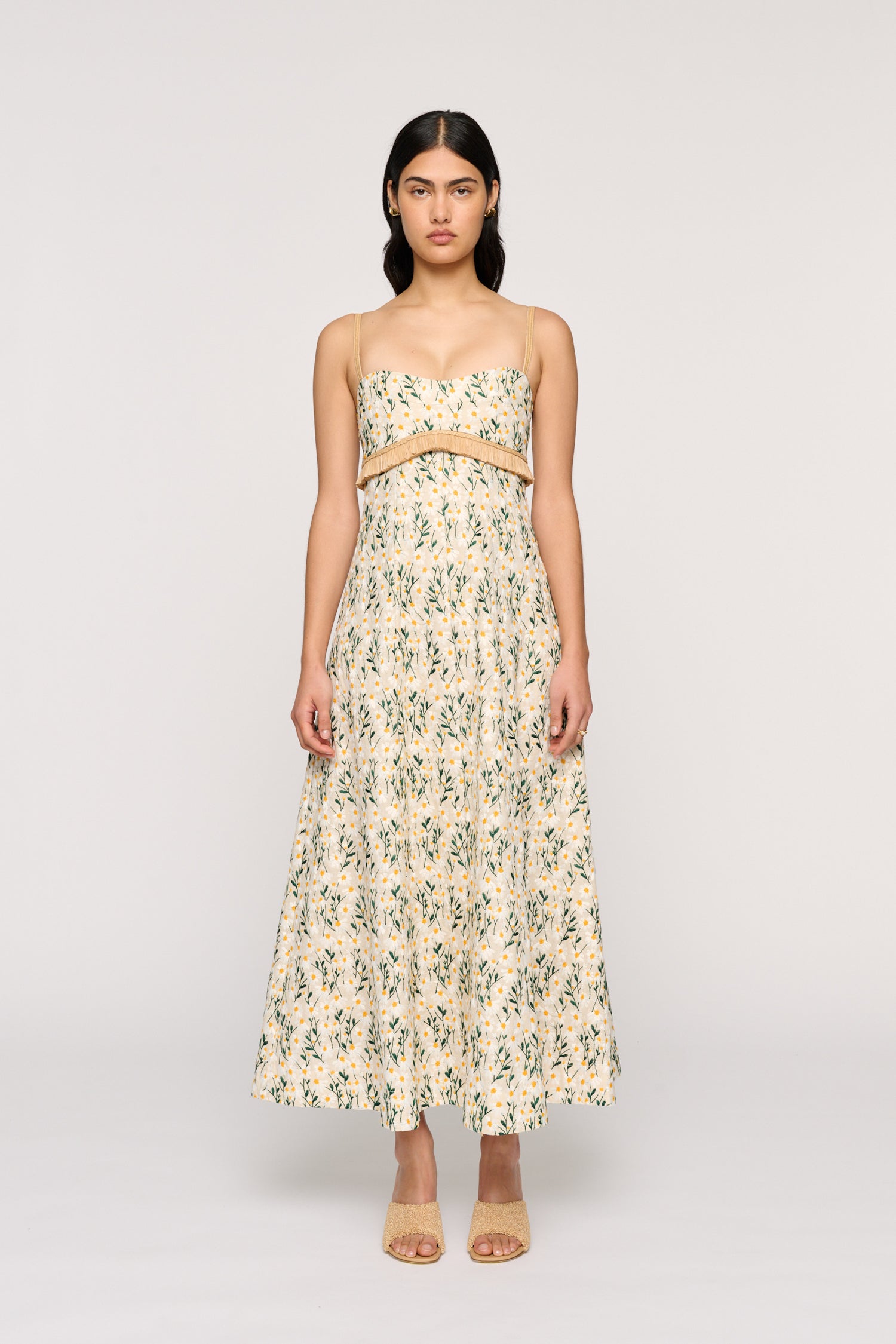 DAISY MEADOW