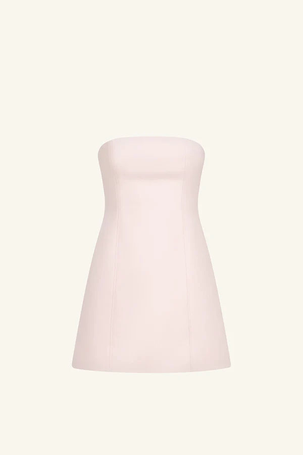 Shona Joy Otis Panelled Strapless Mini Dress - Fairyfloss