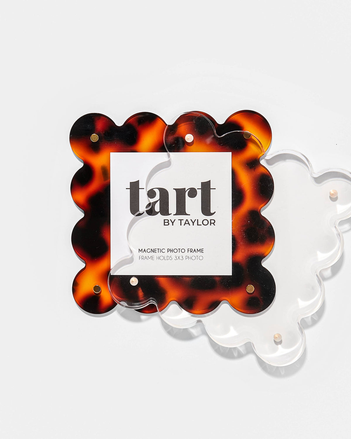 Tart by Taylor Tortoise Mini Acrylic Picture Frame
